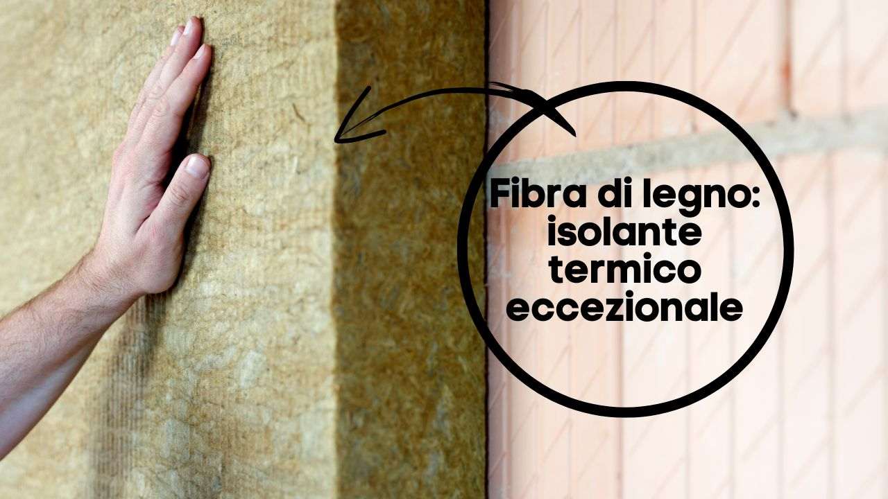 fibra legno isolante