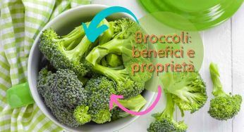 Broccoli, proprietà e benefici di questo ortaggio di stagione