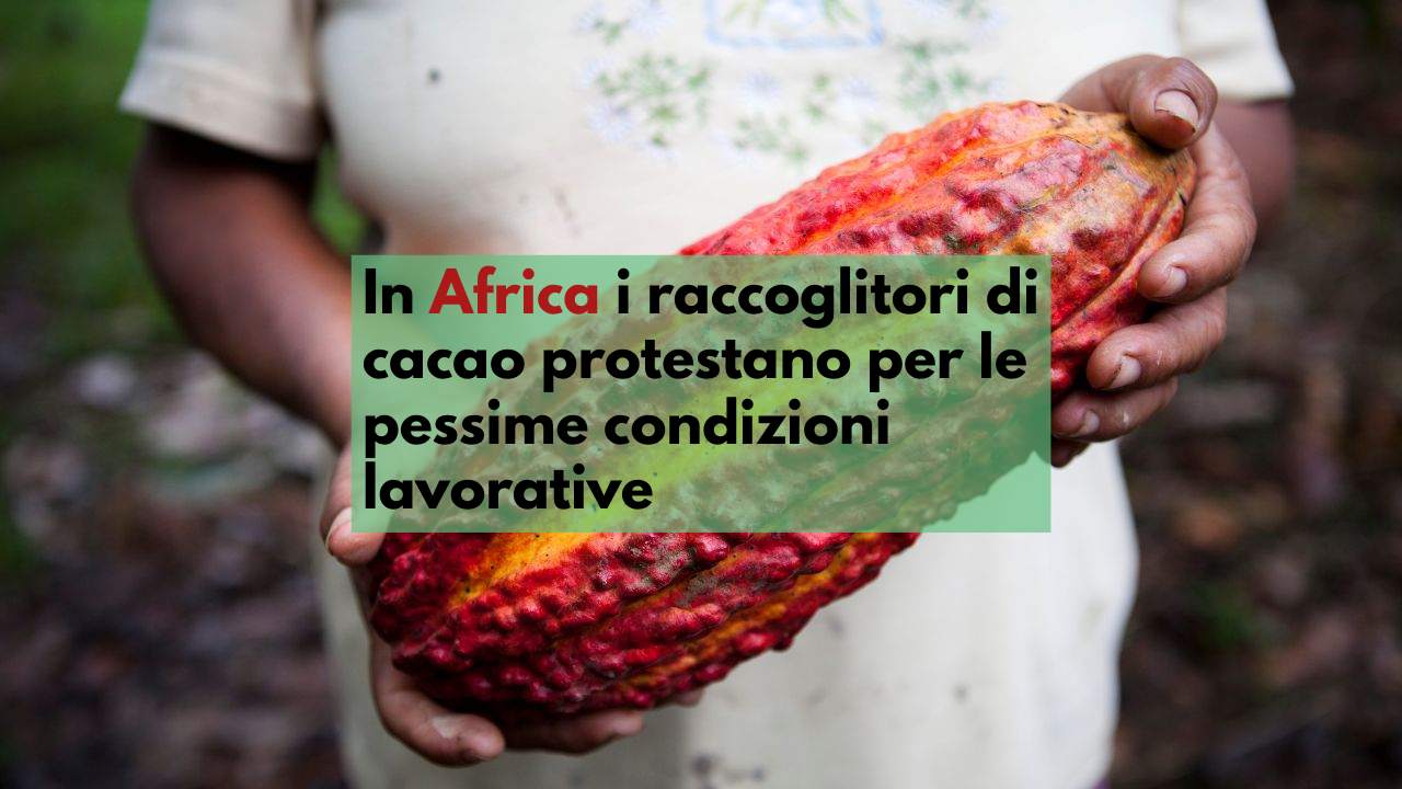 sfruttamento africani cioccolato