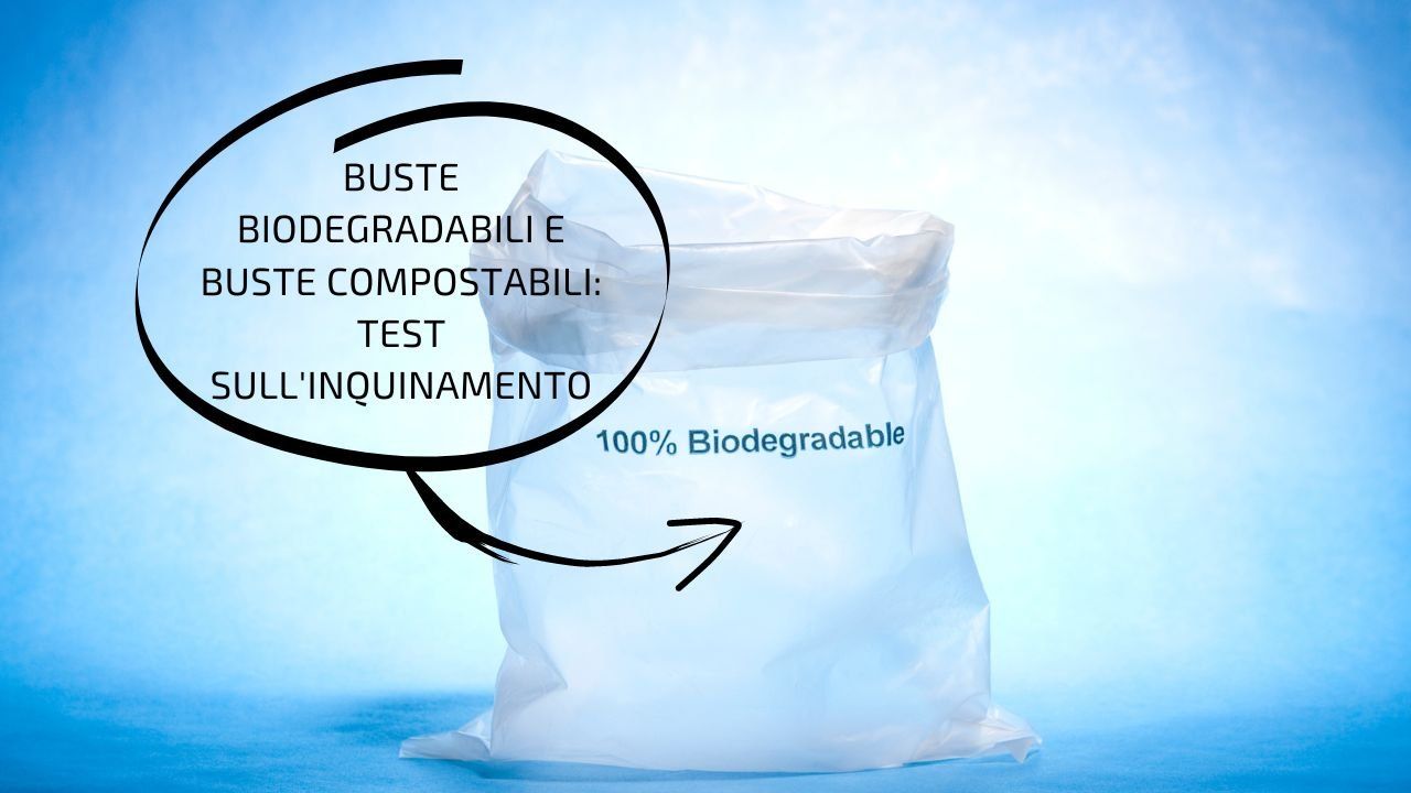 buste biodegradabili inquinano