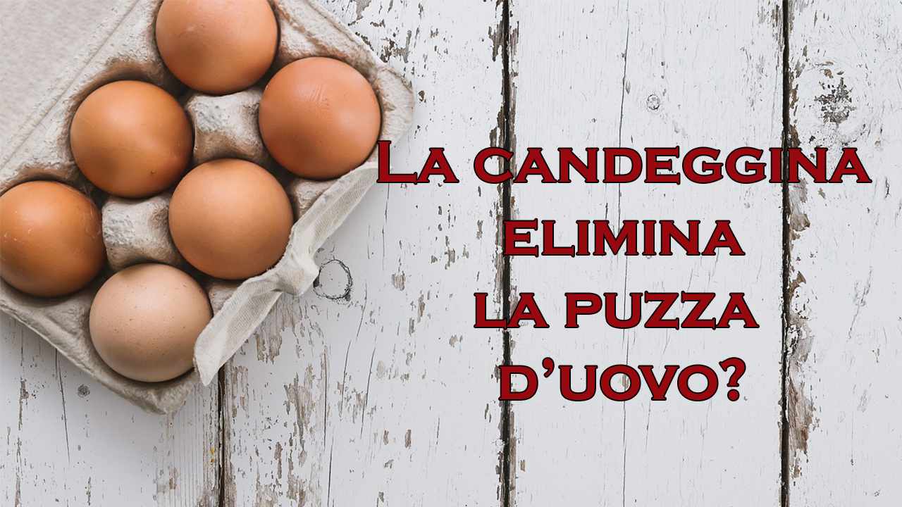 come eliminare puzza d'uovo