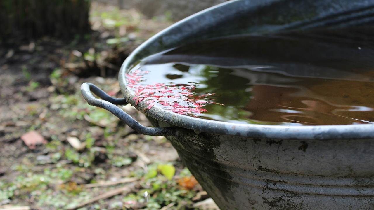 Acqua piovana utilizzi