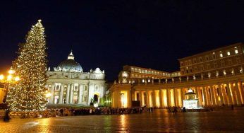 E’ salvo l’abete bianco secolare per il Papa: il caso dell’albero di Natale