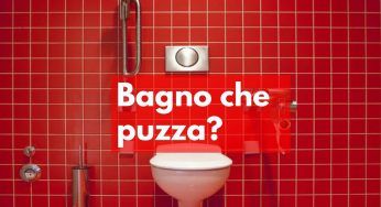 Bagno maleodorante, non disperare: arriva lei, la pianta profumata