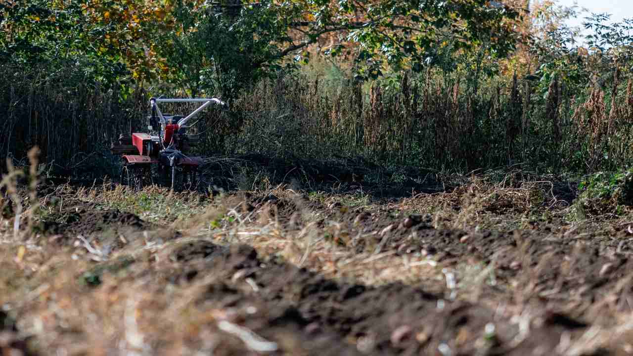 Orto autunno trattore