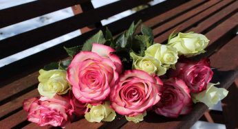 Gli uomini apprezzano i fiori, secondo il galateo puoi regalare questi qui