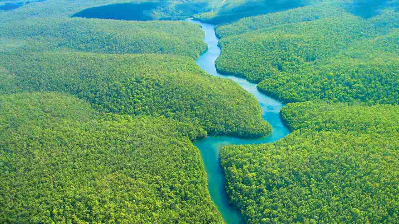 amazzonia cosa succederà prossimi anni stime spaventose