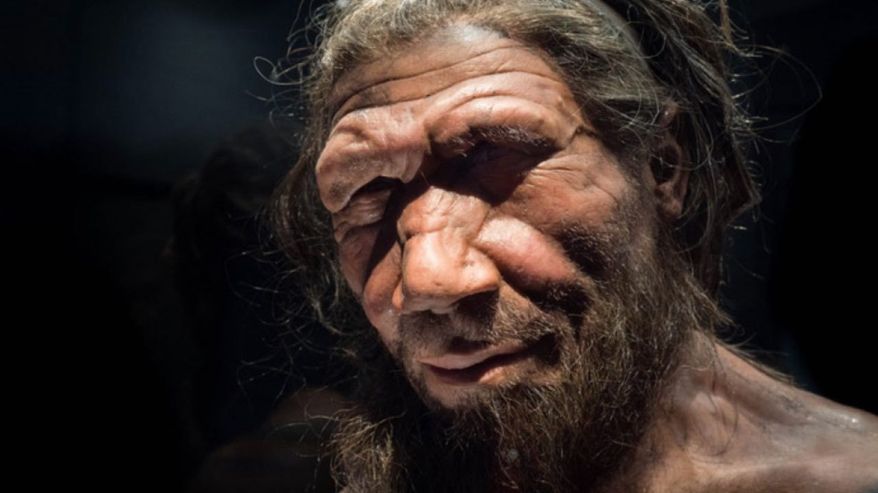 homo neanderthal famiglia