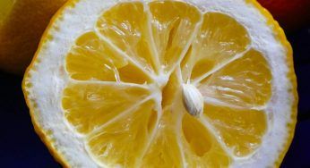 Limoni spremuti, non buttarli via: riutilizzali così