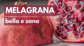 La melagrana: bella, buona e salutare: cosa sapere