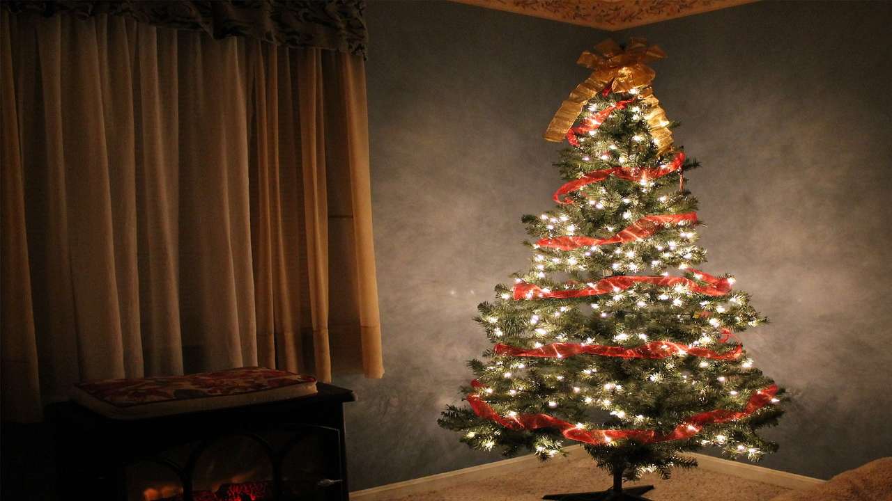 pulizia albero di natale