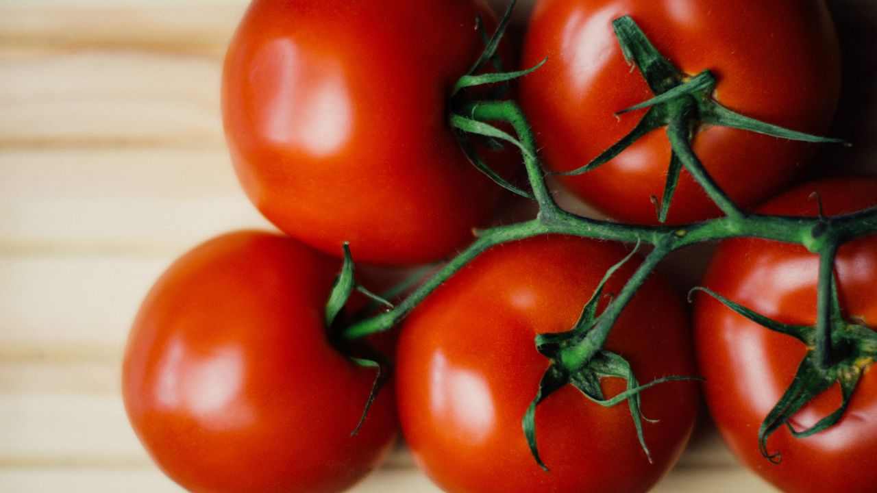 pomodoro Montagono integratore succo buccia