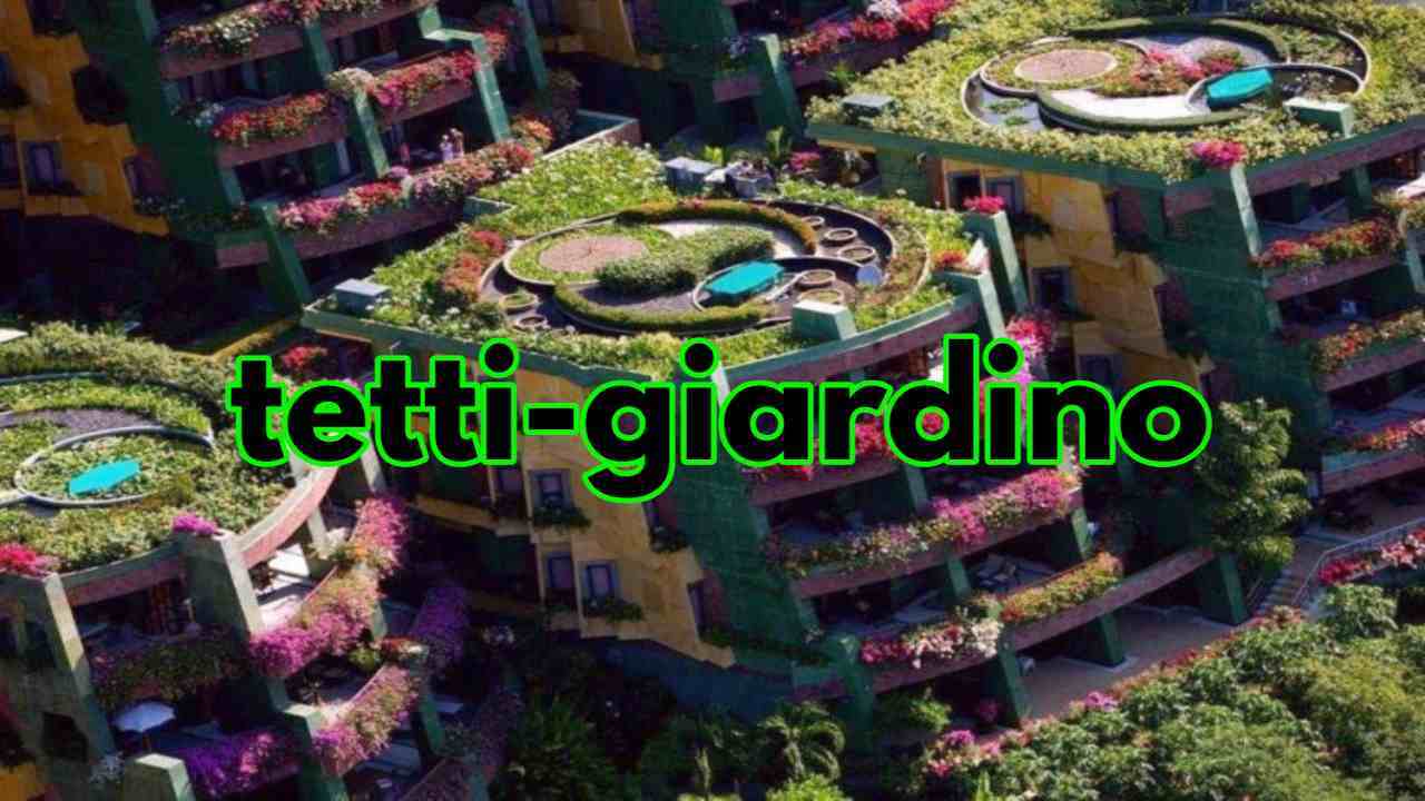 tetti verdi piante adatte