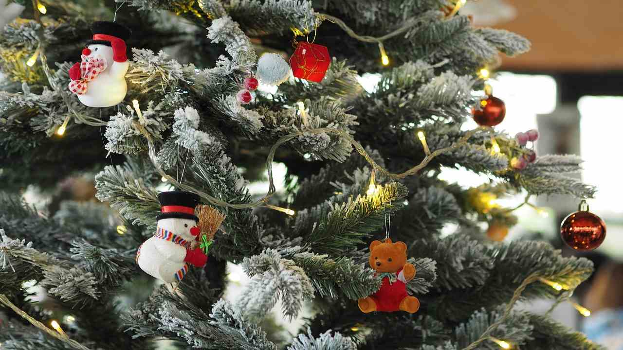 processo produttivo alberi di natale