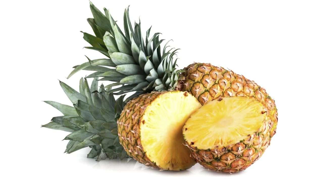 Ananas come riciclarla tecnica