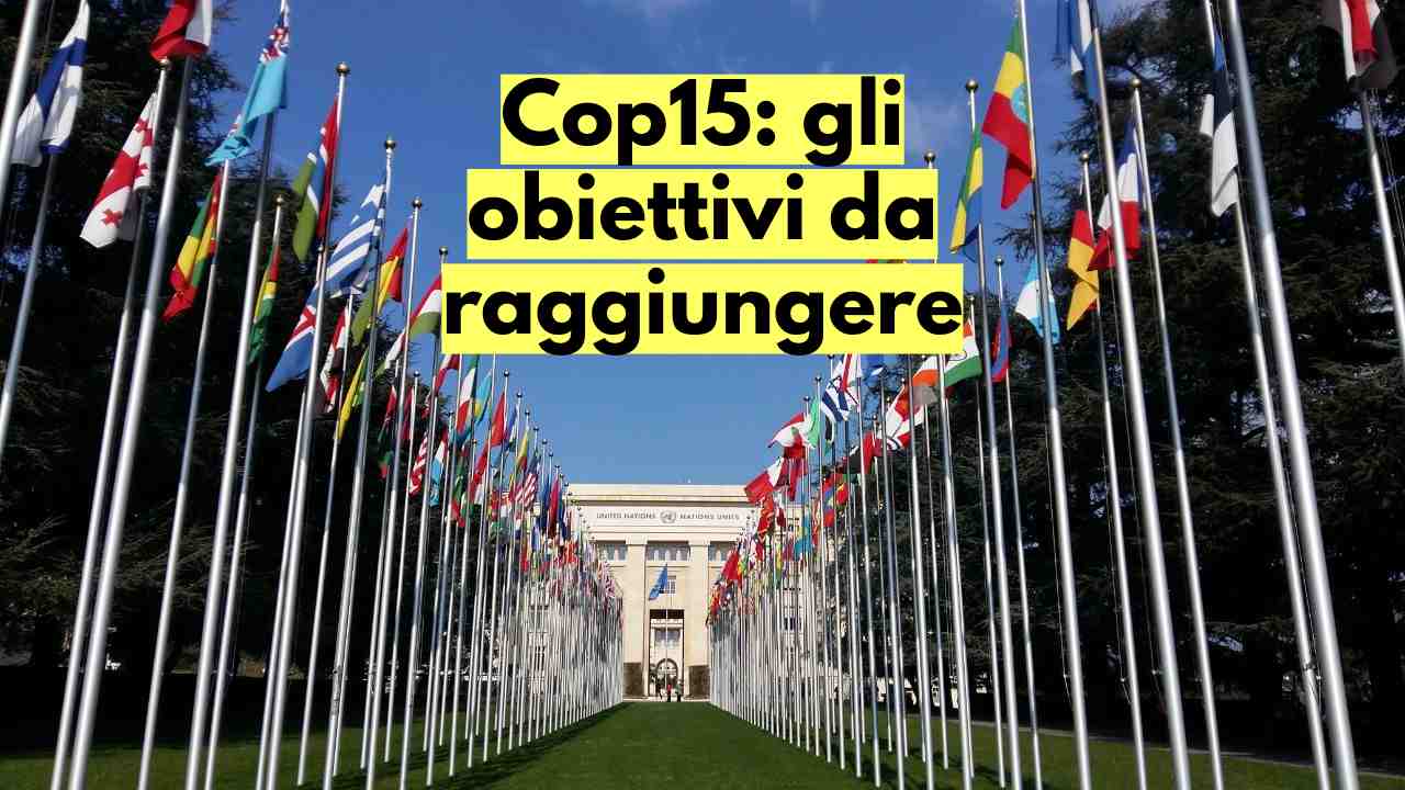 accordo biodiversità Cop15