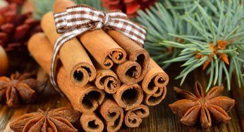 Cannella, storia ed origini della spezia simbolo del Natale