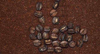 Fondi di caffè, come farne buon uso: puoi dire addio al centro estetico