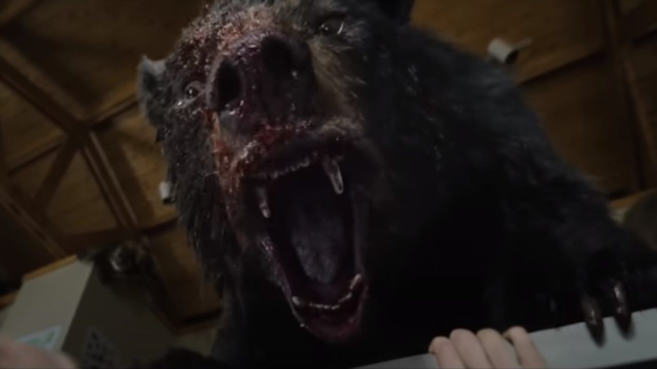 Orso cocaina film trailer