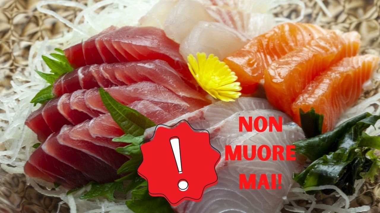 pesce crudo salmonella criticità