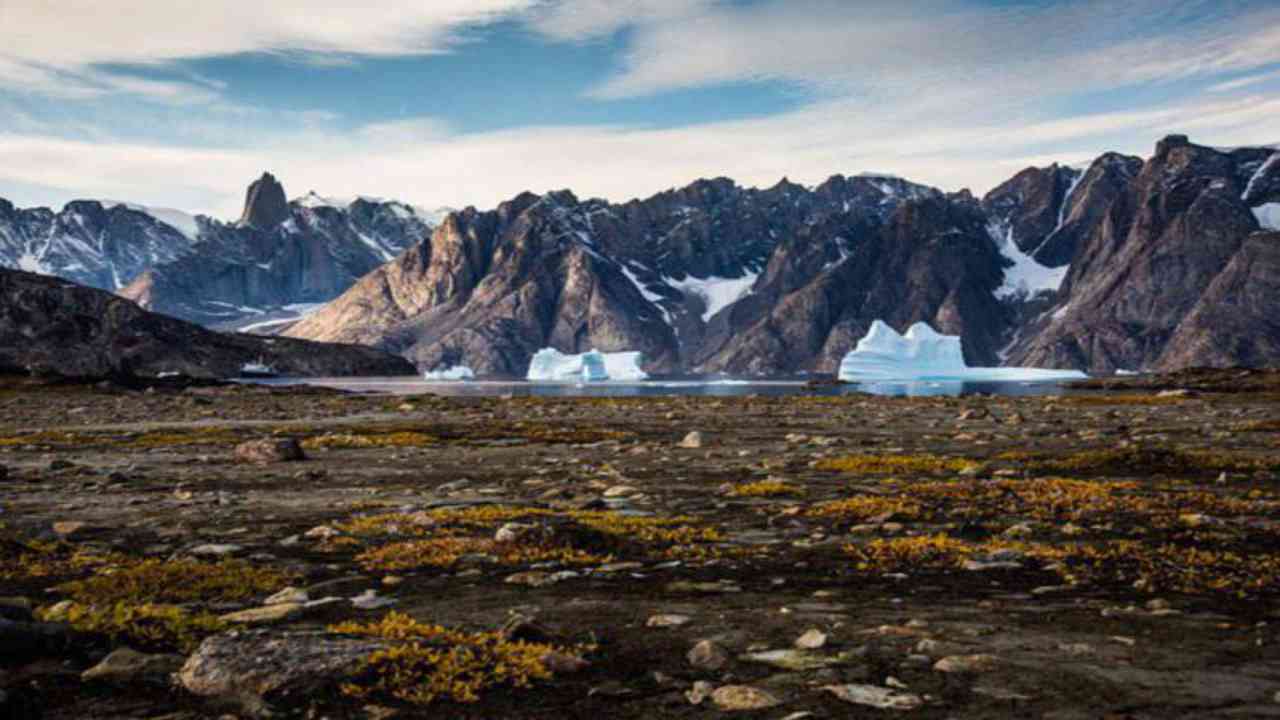 groenlandia deserto polare