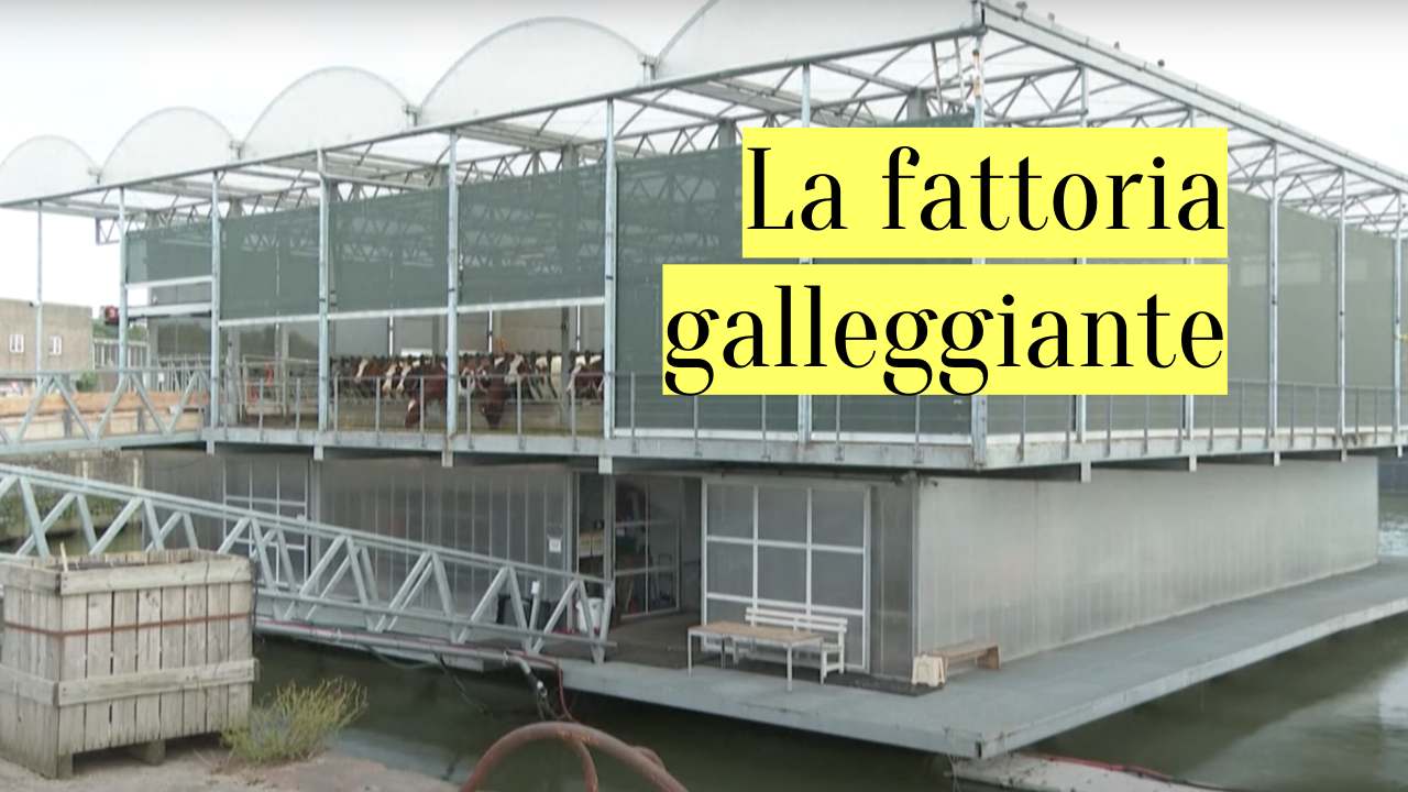 fattorie galleggianti