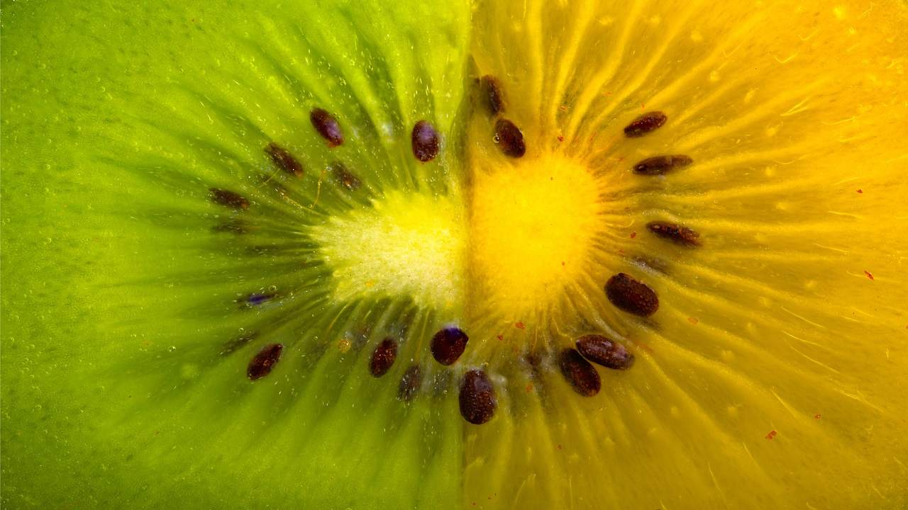 dove si produce kiwi giallo