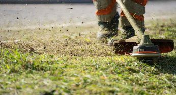 Tagliare l’erba alta in modo corretto: i passaggi più importanti da seguire