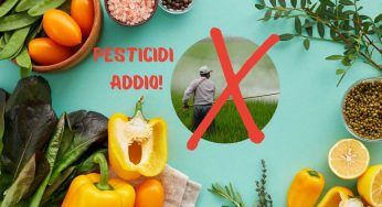 Pesticidi su frutta e verdura, come li tolgo davvero? Con dell’acqua a Ph 11,5