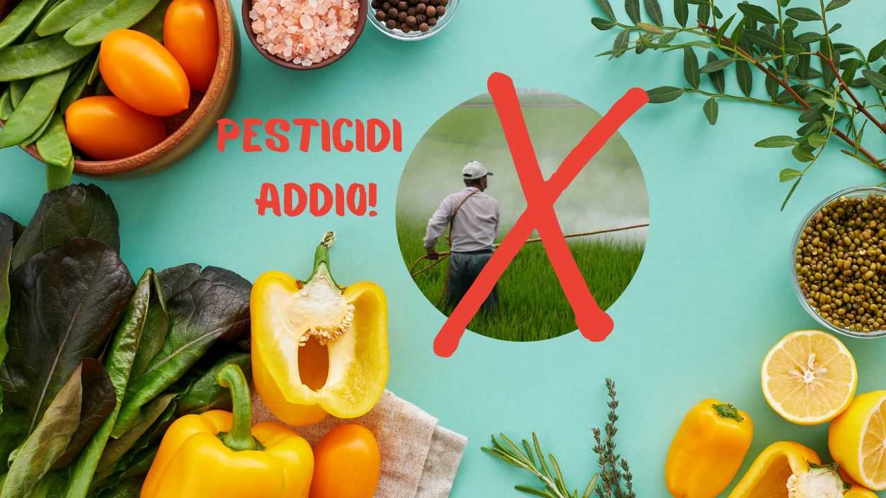 Pesticidi frutta verdura trucco eliminare