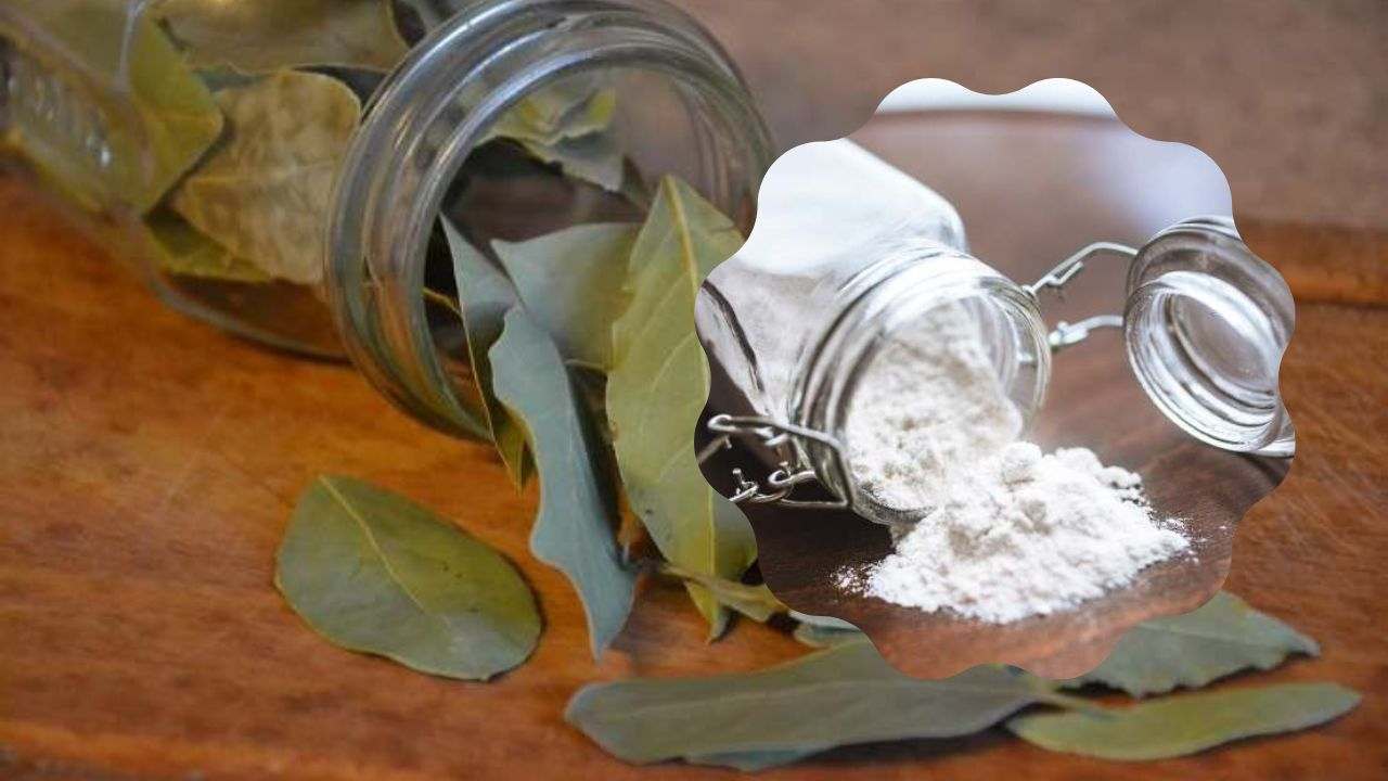 Salvia e amido di mais crema antirughe