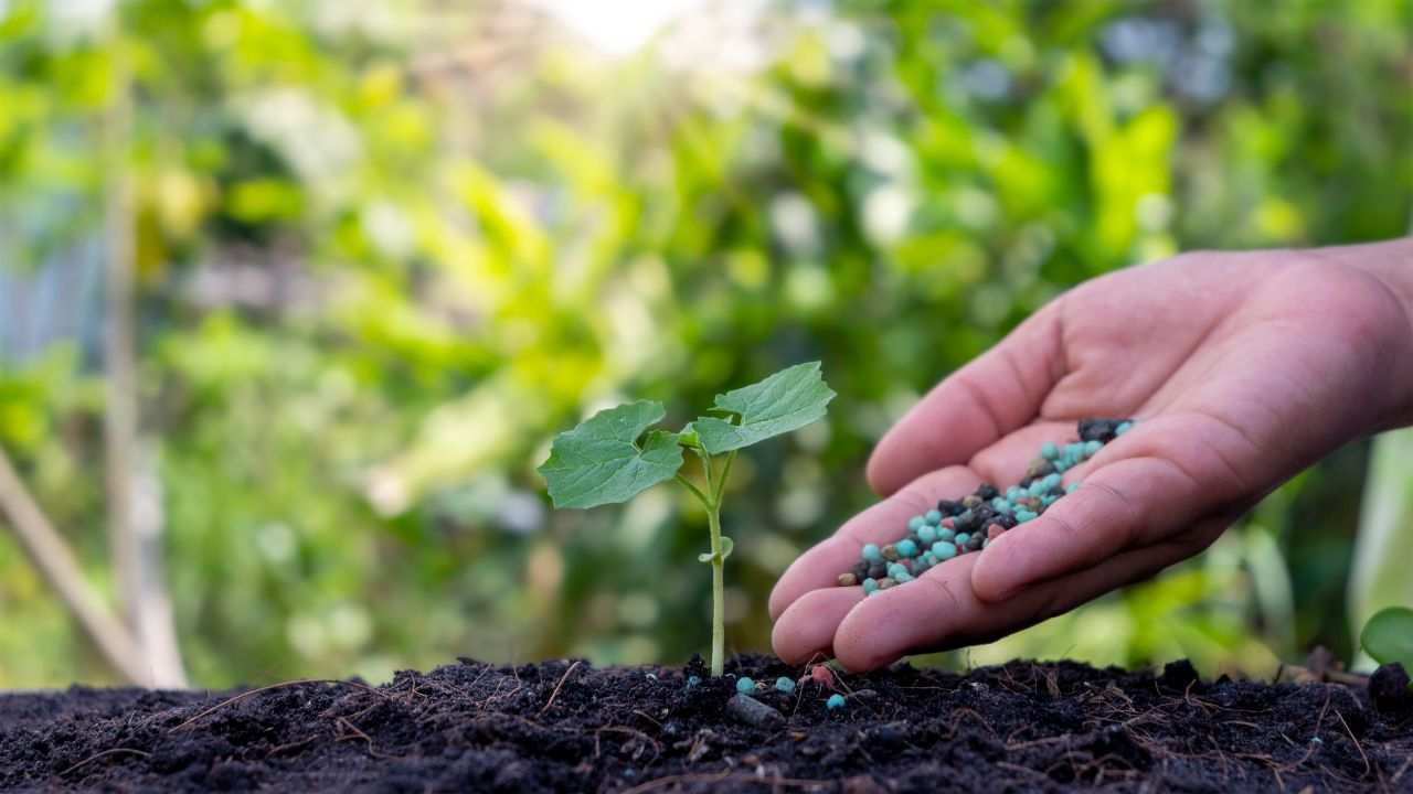 Aumentare fertilità suolo consigli Ue