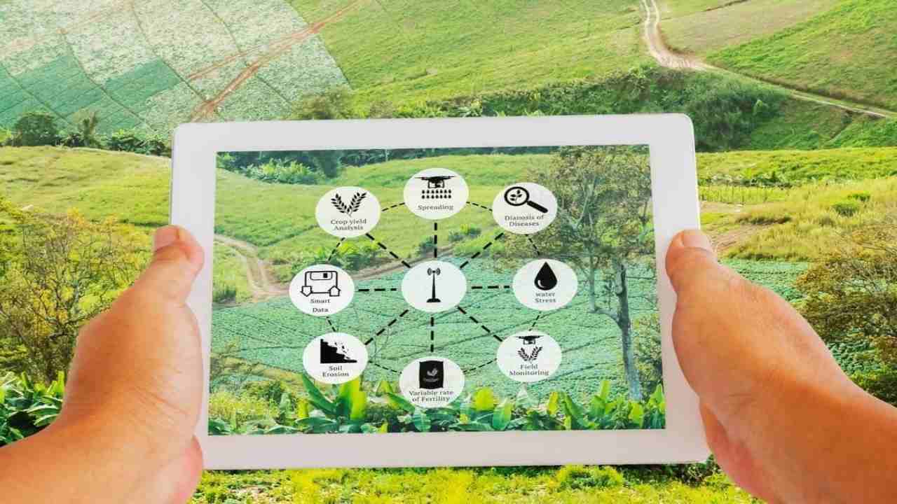 agricoltura avanguardia futuro sostenibile