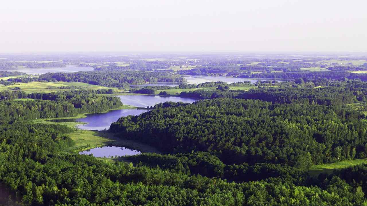 la bellezza travolgente della Foresta Paradiso