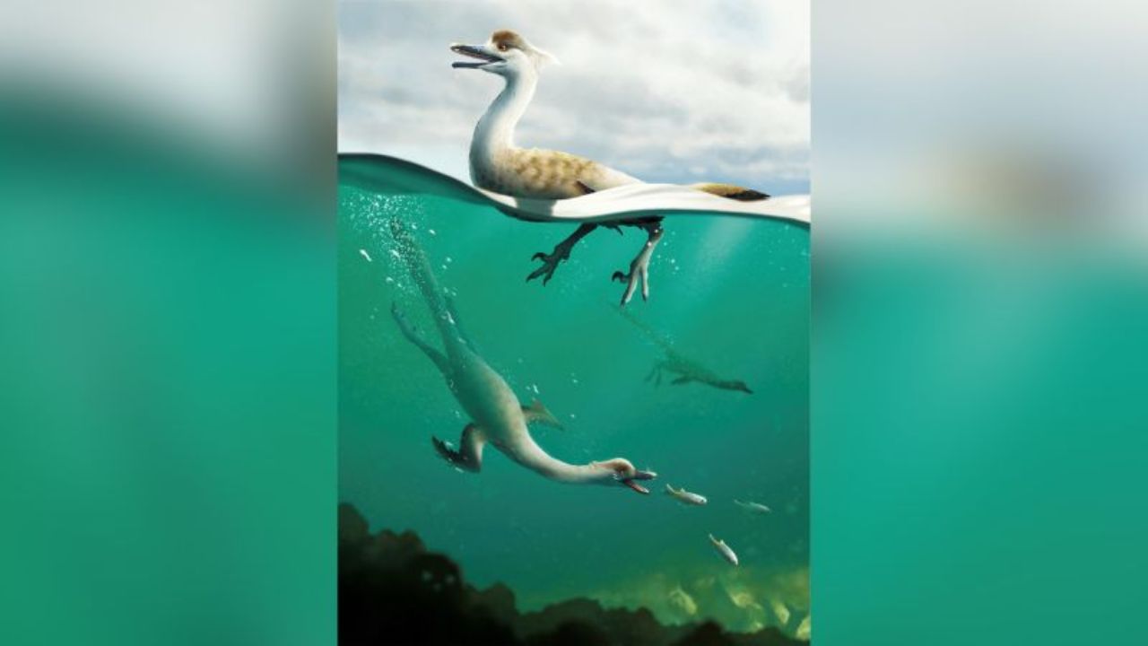 dinosauro pinguino scoperta fossile sconvolto scienziati