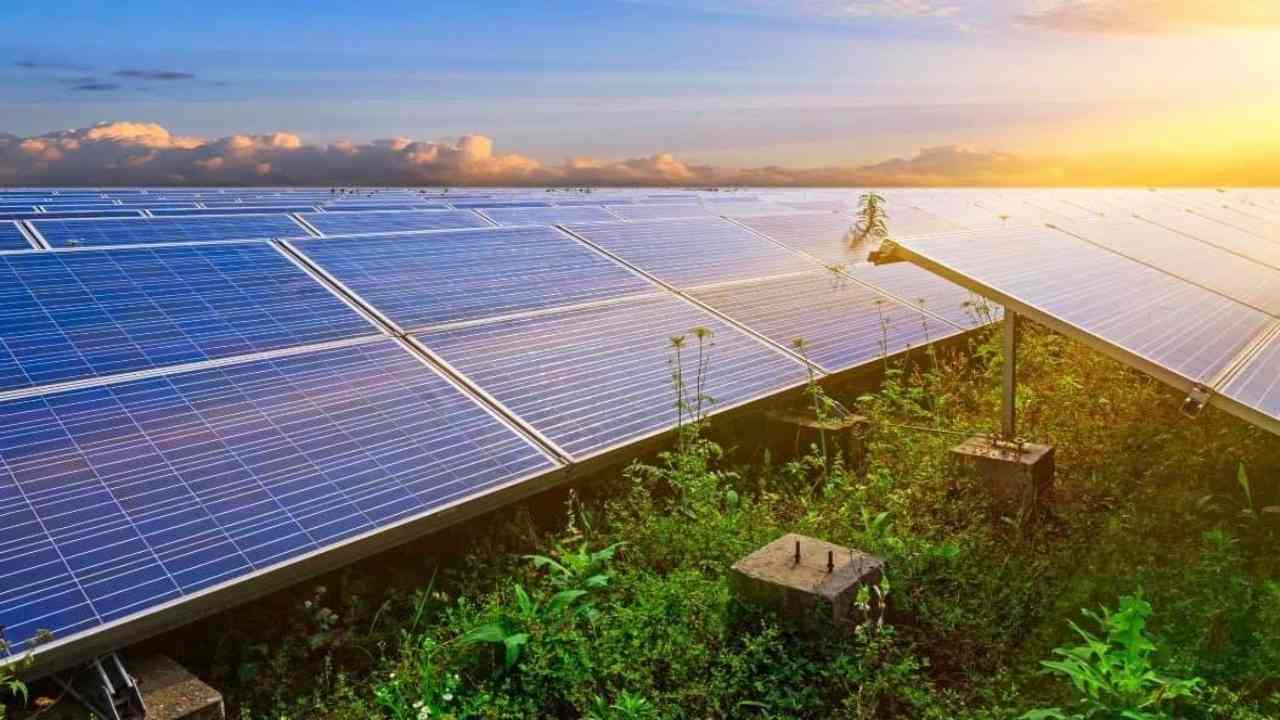 agrivoltaico futuro produzione cibo energia