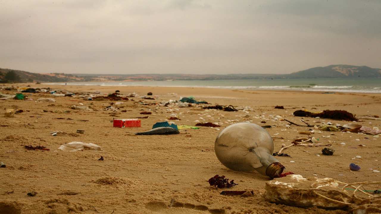 Sacchetti plastica spiaggia