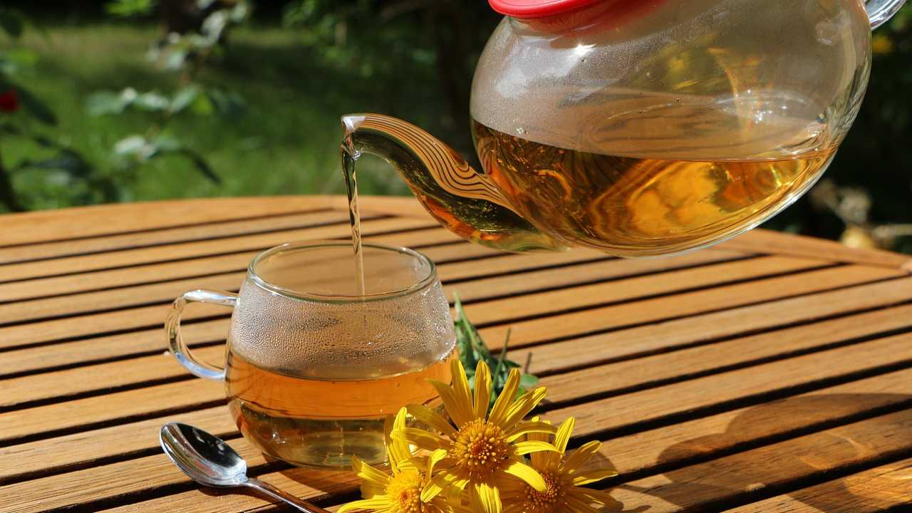 tisana infusi quale scegliere benessere quotidiano base esigenze