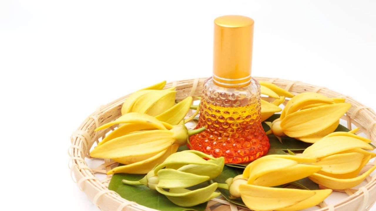 olio essenziale ylang ylang mai sentito parlare