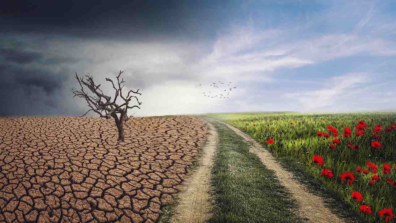 squilibri società causati cambiamento climatico