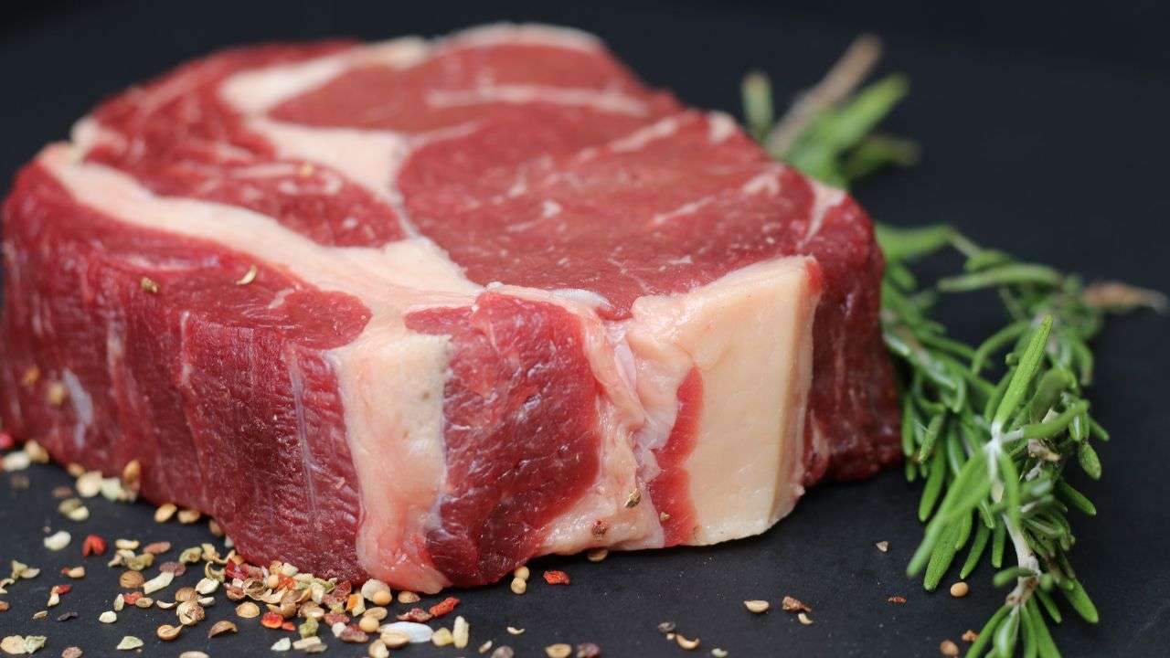 Carne ibrida sperimentazioni