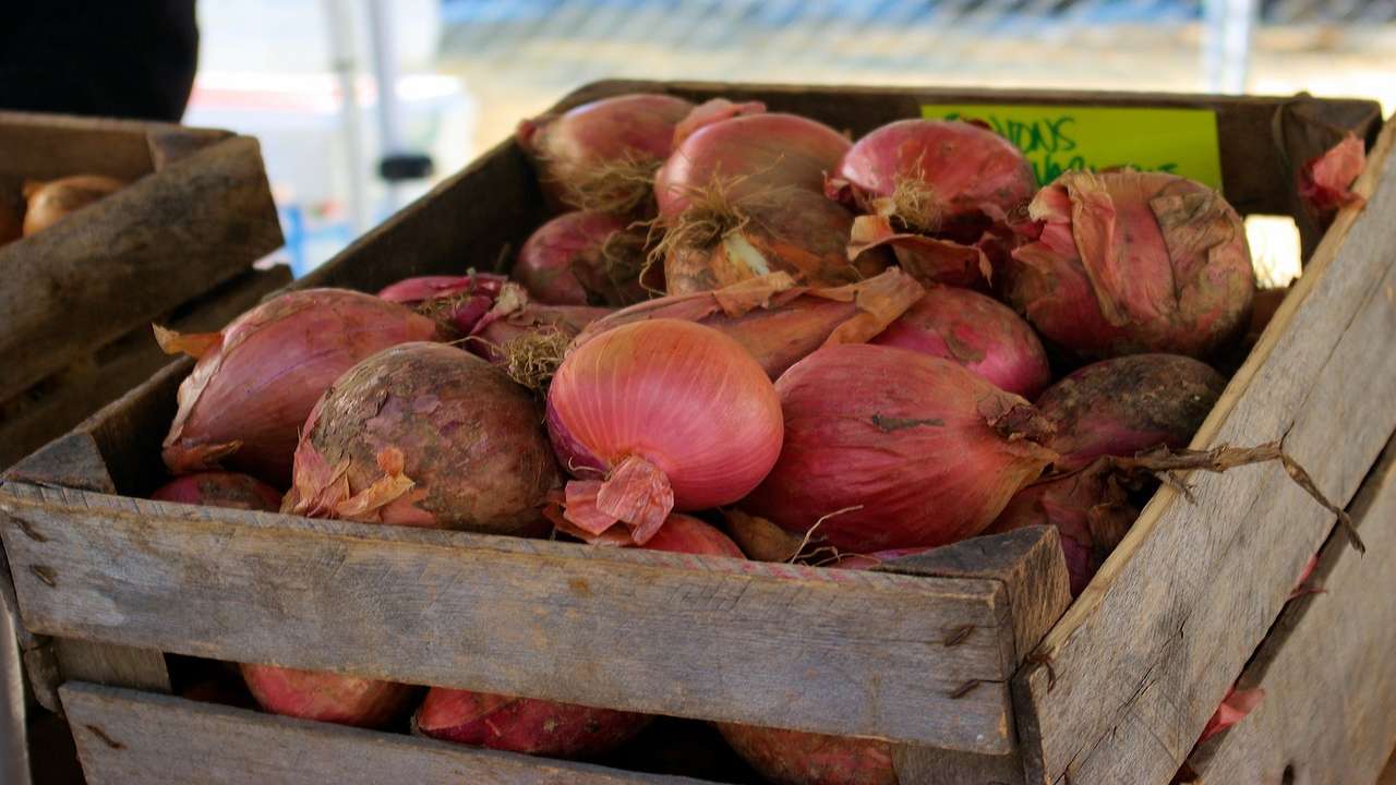 causa colore rosso cipolle tropea