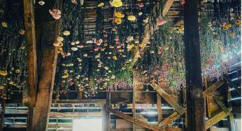 Healing garden, il momento terapeutico che aiuta a rigenerarsi
