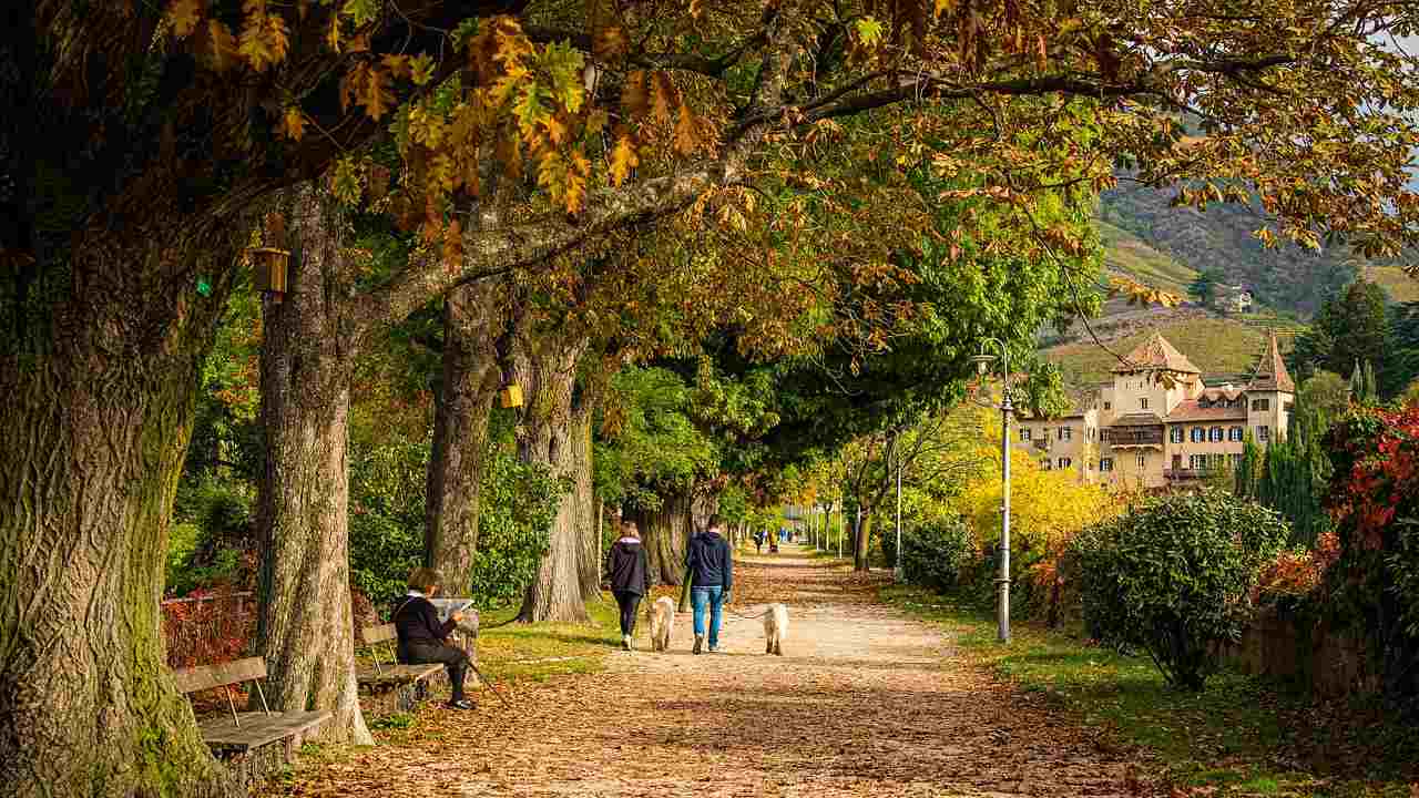 Città green 2022