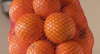 Retine della frutta, quante cose che puoi farci: inizia così