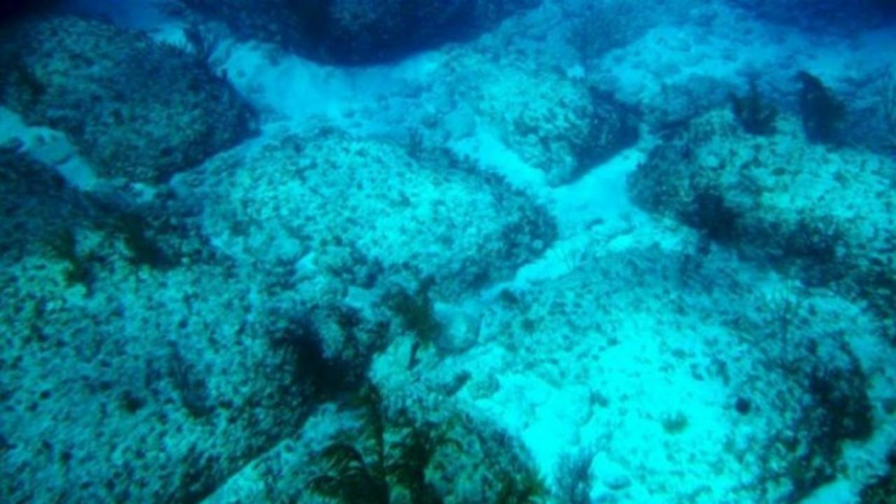 che cos'è strada di bimini