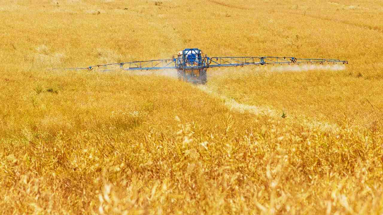 agricoltura fertilizzante ricerca