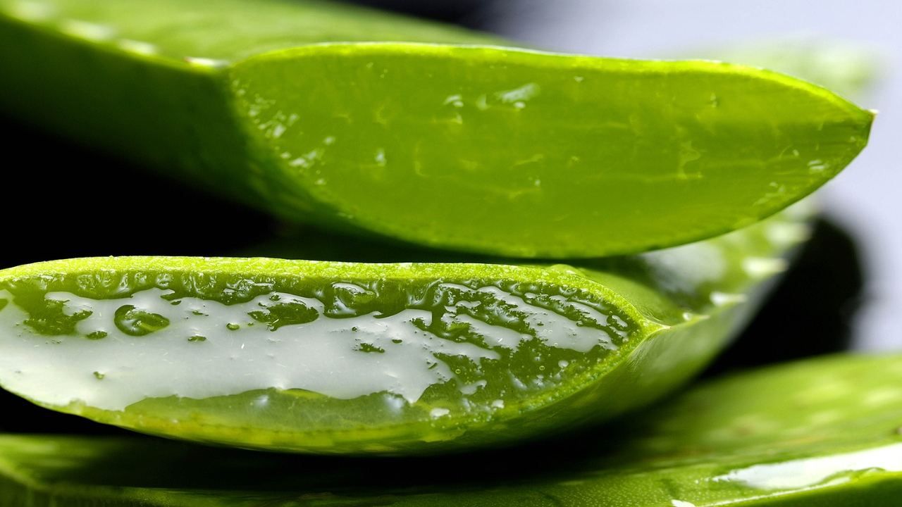 Aloe vera gel