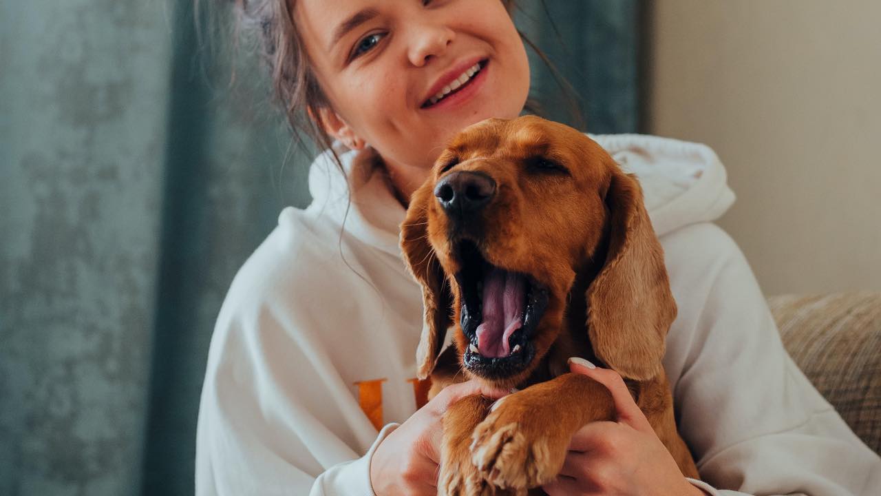 cane che sbadiglia motivi