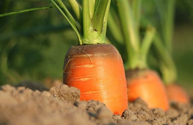 contributi agricoli bloccati 2000 euro motivo clamoroso